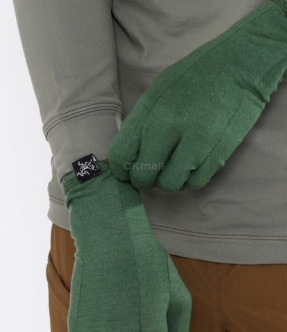 ARC`TERYX Gothic glove AEOFUX6539/EDE GOTHIC GLOVE