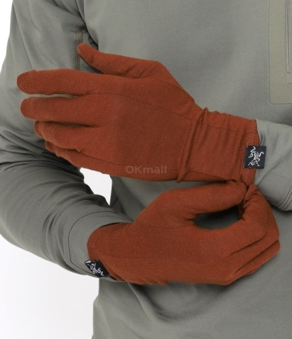 ARC`TERYX Gothic glove AEOFUX6539/SQU GOTHIC GLOVE