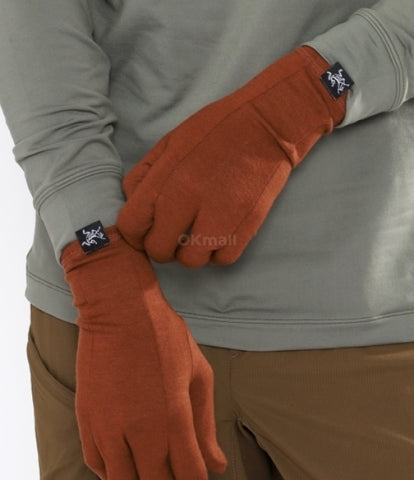 ARC`TERYX Gothic glove AEOFUX6539/SQU GOTHIC GLOVE