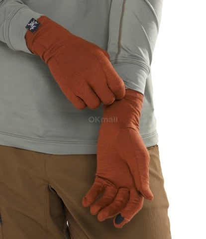 ARC`TERYX Gothic glove AEOFUX6539/SQU GOTHIC GLOVE