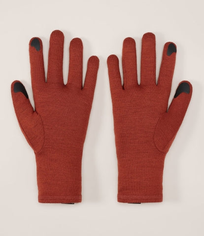 ARC`TERYX Gothic glove AEOFUX6539/SQU GOTHIC GLOVE