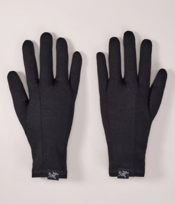 ARC`TERYX Gothic glove AEPFU06539/BLK GOTHIC GLOVE