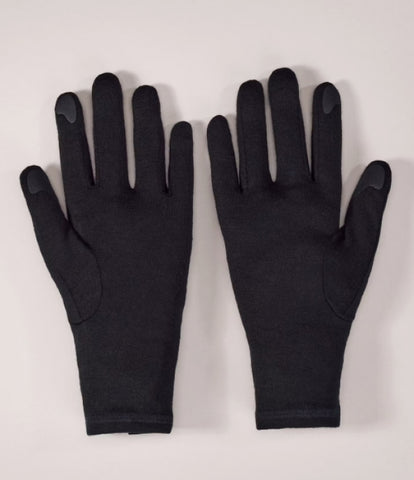 ARC`TERYX Gothic glove AEPFU06539/BLK GOTHIC GLOVE