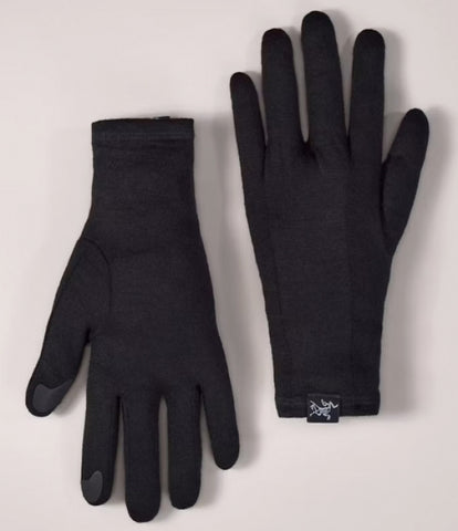 ARC`TERYX Gothic glove AEPFU06539/BLK GOTHIC GLOVE