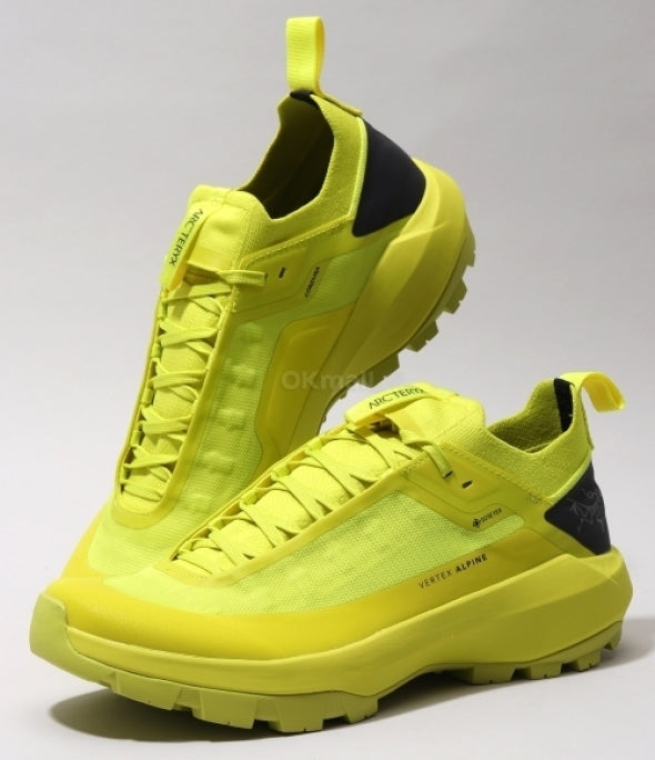 ARC`TERYX Verse The GTX man AFOFMX9602/EGA VERTEX ALPINE GTX M