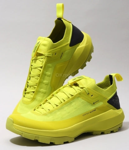 ARC`TERYX Verse The GTX man AFOFMX9602/EGA VERTEX ALPINE GTX M